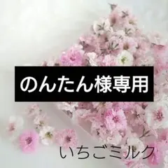 のんたん様 リクエスト 3点 まとめ商品