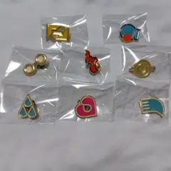 2026年最新】ジムバッジコレクション コンプリートセット シンオウの