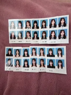 seju 証明写真風 バラ売り フォトカード セットこぞのいねねだけ売れて