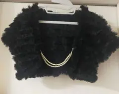 ボレロのサムネイル