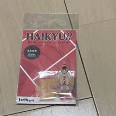 ハイキュー‼︎ 孤爪研磨　アクリルスタンド