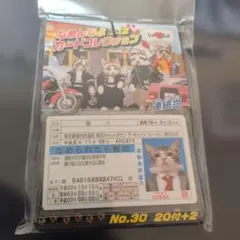 Item thumbnail for item 4af4df42-a402-493c-9c96-2649e714362a