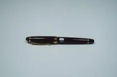 パイロット PILOT カスタム98 黒 EF 万年筆 廃盤 レア 新品 万年筆