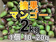 2026年最新】摘果マンゴーの人気アイテム - メルカリ