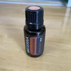 2026年最新】doterra ウッドボックスの人気アイテム - メルカリ