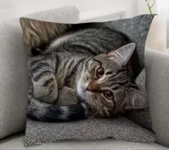 猫柄　クッションカバー45㎝×45㎝　キジトラ　タビーキャット　猫雑貨のサムネイル