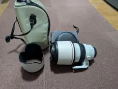 2026年最新】ef100 400mm f4 5 5．6 l is usm 中古の人気アイテム
