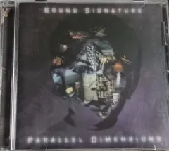 THEO PARRISH Parallel Dimensions 輸入盤CD