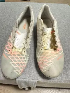 Item thumbnail for item 67adc7c9-5d20-43d4-90e2-f2f00ef96e14