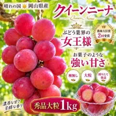 ㉝【訳あり予約】長野県産クイーンセブン1kg【メルカリ便】シャイン