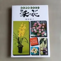 造花全書 池宮妙子 主婦の友社 昭和49年発行 造花全書 池宮妙子 主婦の友社 昭和49年発行 - メルカリ