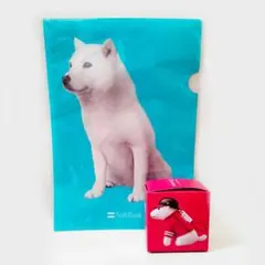 ソフトバンク お父さん クリアファイル ぬいぐるみストラップ 2点セット