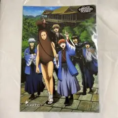 【未開封】銀魂 京都限定 クリアファイル セット 銀時 土方 神楽【匿名配送】
