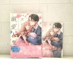 yocchibbsan様 リクエスト 2点 まとめ商品