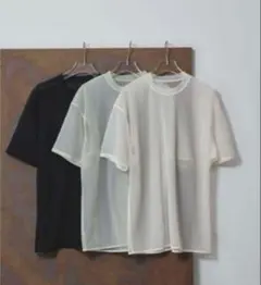 TODAYFUL ハーフスリーブシアーTシャツのサムネイル