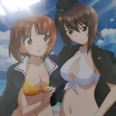 ガールズ＆パンツァー 　西住みほ 西住まほ　水着　額装