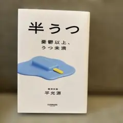 半抑鬱 憂鬱以上、抑鬱未滿