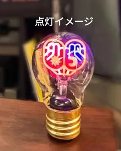 イナバサラス イルミネーションバルブ 稲葉浩志 B'z イナサラ - メルカリ