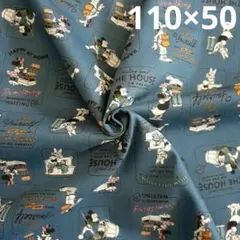 Item thumbnail for item a81c8484-596b-4bb8-8b6e-164f88c2f4e4