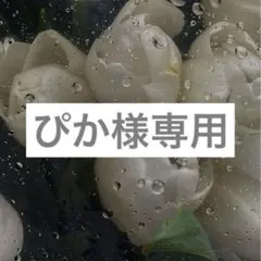 【ぴか様専用】エチュードアイシャドウパレット　ヌードミルクティー・カシミアモーヴ