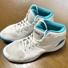 アシックス　ジュニアバスケットシューズ ダンクショット DUNKSHOTのサムネイル