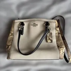 COACH ハンドバッグ パイソン柄