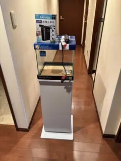 淡水/海水】Chihiros 液肥自動投入機 (水草育成が楽に！) - メルカリ