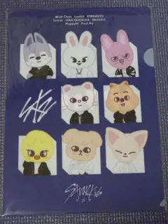 新品未開封 Stray Kids EXHIBITIONクリアファイルB展覧会