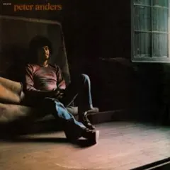 レコード Peter Gallway レアグルーヴ ロック ソウル SSW LP - メルカリ
