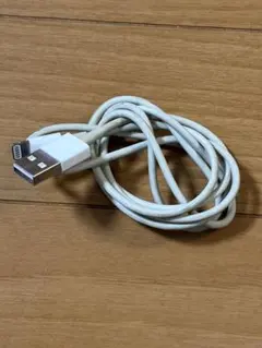 iPhone X用USBケーブル