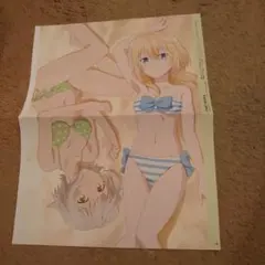 失格紋の最強賢者　ポスター#②　水着姿