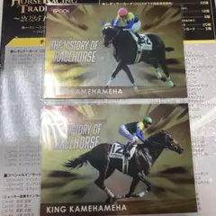 エポック　ホースレーシング　アジアエクスプレスDNAカードセット エポック ホースレーシング アジアエクスプレスDNAカードセット - メルカリ