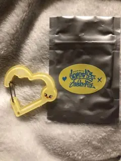 Stray Kids celebrATE ポップアップ　カラビナ　ポガリ