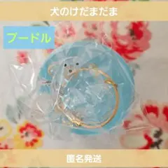 #C-pla ペテモ 限定 うちの子のけだまだま 犬 ガチャ プードル チャーム