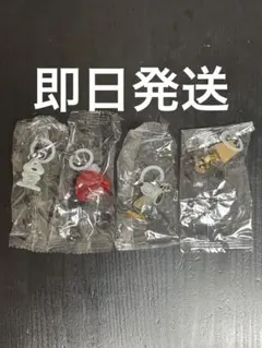 PEANUTS めじるしアクセサリー　スヌーピー