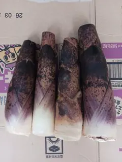 真竹　採れたて無農薬　マダケ　1㎏以上　お試しに❗のサムネイル