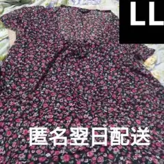 C.P.A. 花柄 半袖チュニック LL　レディース　黒　重ね着用　美品