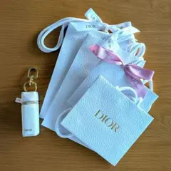 Diorリップケース　ショッパー