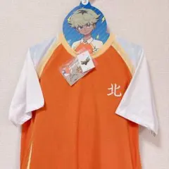 2026年最新】タイトル：イナズマイレブン キャラクターグッズ Tシャツ