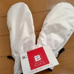 Item thumbnail for item 61562840-25f6-43ea-8744-0994e13065d5