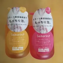 Item thumbnail for item cc03651e-31f4-40a4-bb2f-f73ef64dfdc4