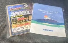 北海道日本ハムファイターズ　玉山銀行 　巾着　ビックカメラ買取キット