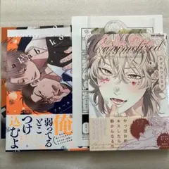 akabeko フォールダウン/おげれつたなか ケーキ・ドッグ・カラメリゼ