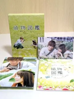岩田剛典さん　植物図鑑　DVD