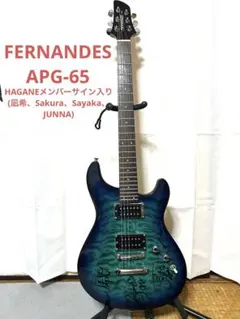 エレキギター FERNANDES APG-65 HAGANEメンバーサイン入り