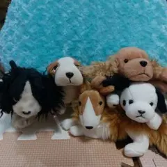 Ty 犬のぬいぐるみ 犬 わんちゃんセット2