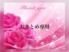 a-chin様 リクエスト 2点 まとめ商品