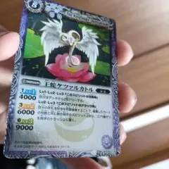 41-56/両中大古（王蛇ケツァルカトル）mのサムネイル