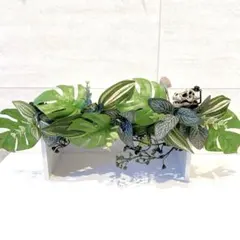 ウォールグリーン×ミニチュア　壁掛けフェイクグリーン　恐竜化石発掘　インテリア