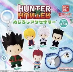 HUNTER×HUNTER めじるしアクセサリー　第一弾　コンプリート HUNTER×HUNTER めじるしアクセサリー 第1弾 全5種コンプリート - メルカリ